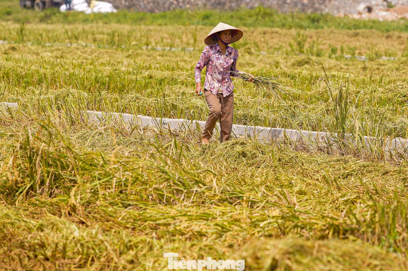 tp-lua-chay-bao-anh-6.jpg
