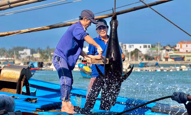 Gần lắm, Gạc Ma... Bài cuối: Những 'chiến sĩ' không quân hàm 