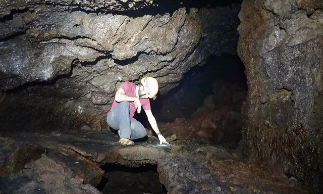 Kho báu giữa đại ngàn 