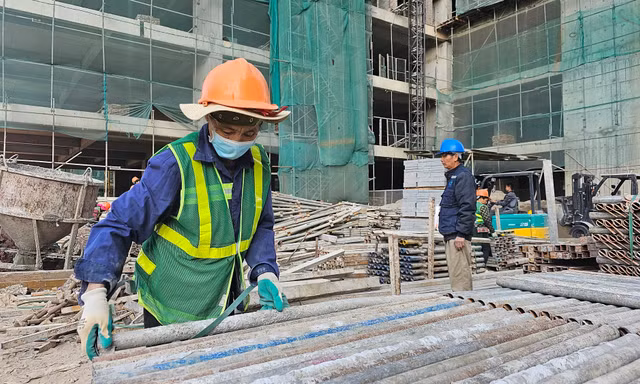 Nhiều doanh nghiệp tính phương án nhập khẩu lao động Ảnh: Phan Thiên