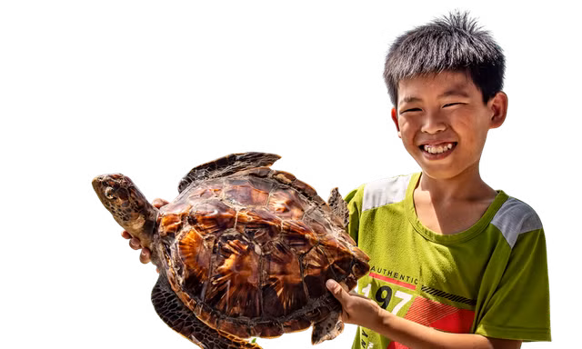 Con đồi mồi (tiêu bản) gợi nhớ đến Hòn Sơn Rái một thời bạt ngàn cua, ốc, rái cá, rùa biểnẢnh: Lê Văn Chương