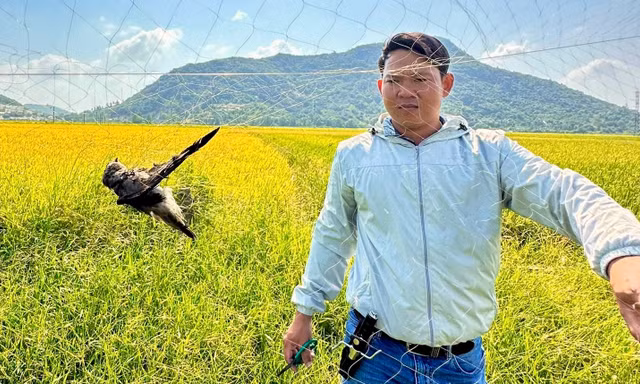 Đội phản ứng nhanh của Công ty Yến sào Khánh Hòa tuần tra, ngăn chặn nạn đánh bắt yến trái phép