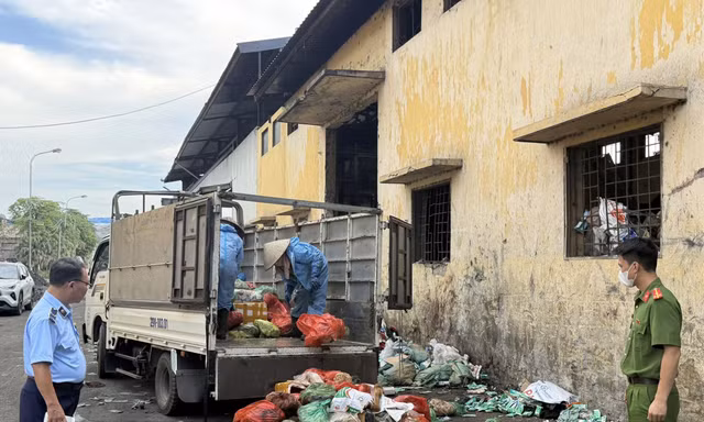 Hà Nội: Lực lượng Quản lý thị trường kiểm tra, tiêu hủy 1,2 tấn thực phẩm nhập lậu
