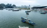 Quảng Ninh đưa trí tuệ nhân tạo AI vào quản lý du lịch