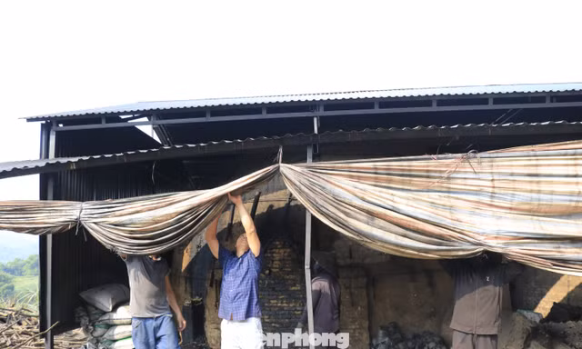 Tháo dỡ cơ sở đốt than trái phép, gây ô nhiễm tại Lào Cai