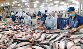 185.000 tỷ đồng cho vay nông - lâm - thủy sản, lãi suất rất thấp