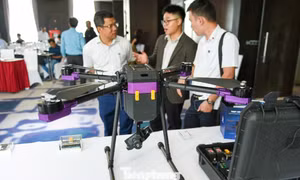 Đà Nẵng hướng tới doanh thu công nghệ số đạt hơn 73 nghìn tỷ