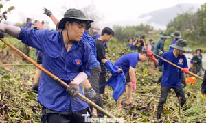 Hơn 509 nghìn lượt đoàn viên, thanh niên Đà Nẵng tình nguyện vì cộng đồng