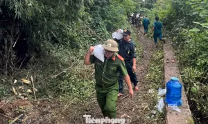 Khẩn trương gia cố đê sông Gò Chàm bị sụt lún, rò rỉ nước