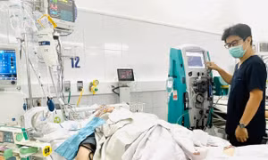 Dọn dẹp sau mưa lũ, nhiều người bị rắn độc cắn