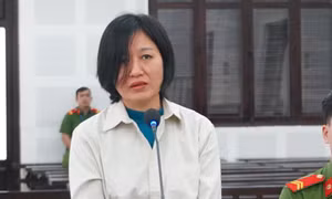 Đấu giá 9 ô tô khách của nữ đại gia trốn thuế hàng chục tỷ đồng ở Đà Nẵng