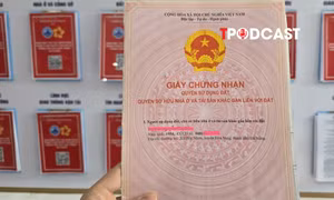 Thời gian cấp sổ đỏ lần đầu không bao gồm thời gian niêm yết hồ sơ và xác định nghĩa vụ tài chính