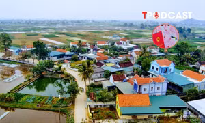 Nhà xây trái phép trên đất nông nghiệp trước 1/7/2014 sẽ được xử lý thế nào?