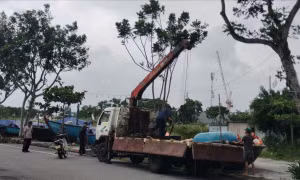 Trước giờ bão số 12 áp sát, ngư dân Đà Nẵng tất bật đưa tàu thuyền lên bờ trú tránh