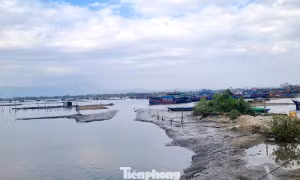 Khi nào đưa vào sử dụng dự án Khu tránh trú bão cho tàu cá 420 tỷ đồng ở Đà Nẵng?