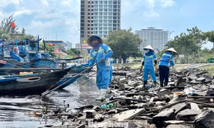  Rác thải ken đặc bãi biển Đà Nẵng sau bão 