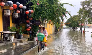 Ngôi nhà cổ ở số 23 Tiểu La - trung tâm phố cổ Hội An xuống cấp trầm trọng, nguy cơ đổ sụp Ảnh Hoài Văn 