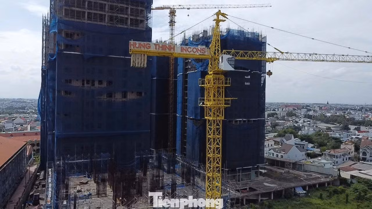 tp-c_2aoboqnpdtk6qtqqzxuxxe9zptdkyku6jybonyge.jpg