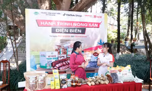 "Hành trình Nông sản Điện Biên" thúc đẩy ứng dụng TMĐT, mở rộng đầu ra bền vững cho nông đặc sản địa phương