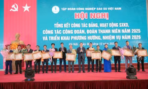 VRG vững nền tảng, mở đà tăng trưởng xanh giai đoạn mới