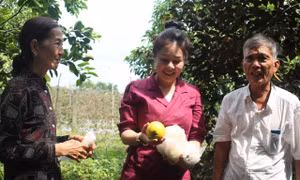 Quỹ hỗ trợ cộng đồng David Dương giúp người dân vươn lên làm giàu