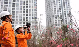 EVN khẩn trương triển khai nhiệm vụ ngay sau nghỉ Tết Nguyên đán
