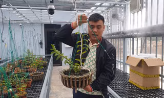 Bộ Công an bắt giữ 2 anh em đại gia lan Var đất mỏ