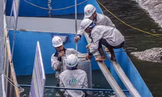 Chuyên gia Nhật tạo khu trình diễn xử lý nước, hứa hẹn tắm trên sông Tô Lịch