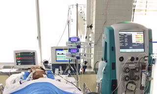 Bệnh nhân bị rắn cắn vẫn đang thở máy và lọc máu liên tục