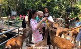 Bất ngờ doanh thu của vườn thú từng bị 'sờ gáy' vì nợ thuế 