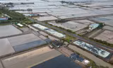 Diêm dân kêu trời vì mưa ập xuống bất ngờ cuốn sạch hàng trăm ha muối 