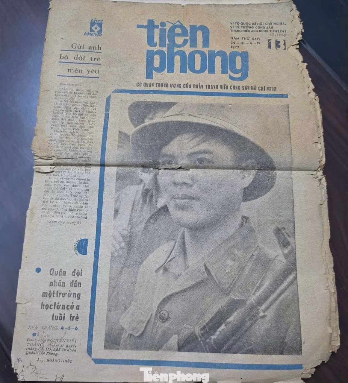 tp-3.jpg