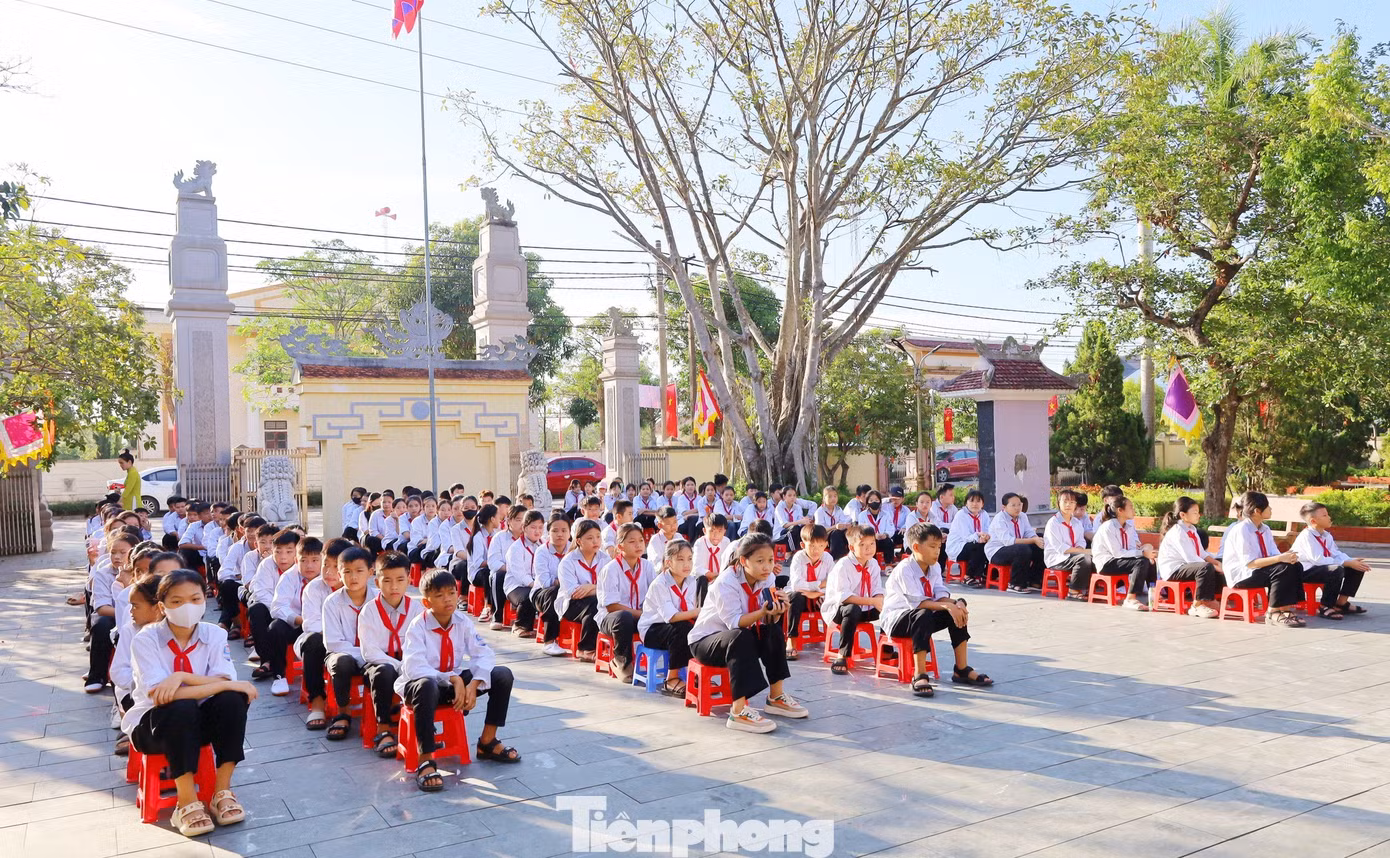 tp-11.jpg