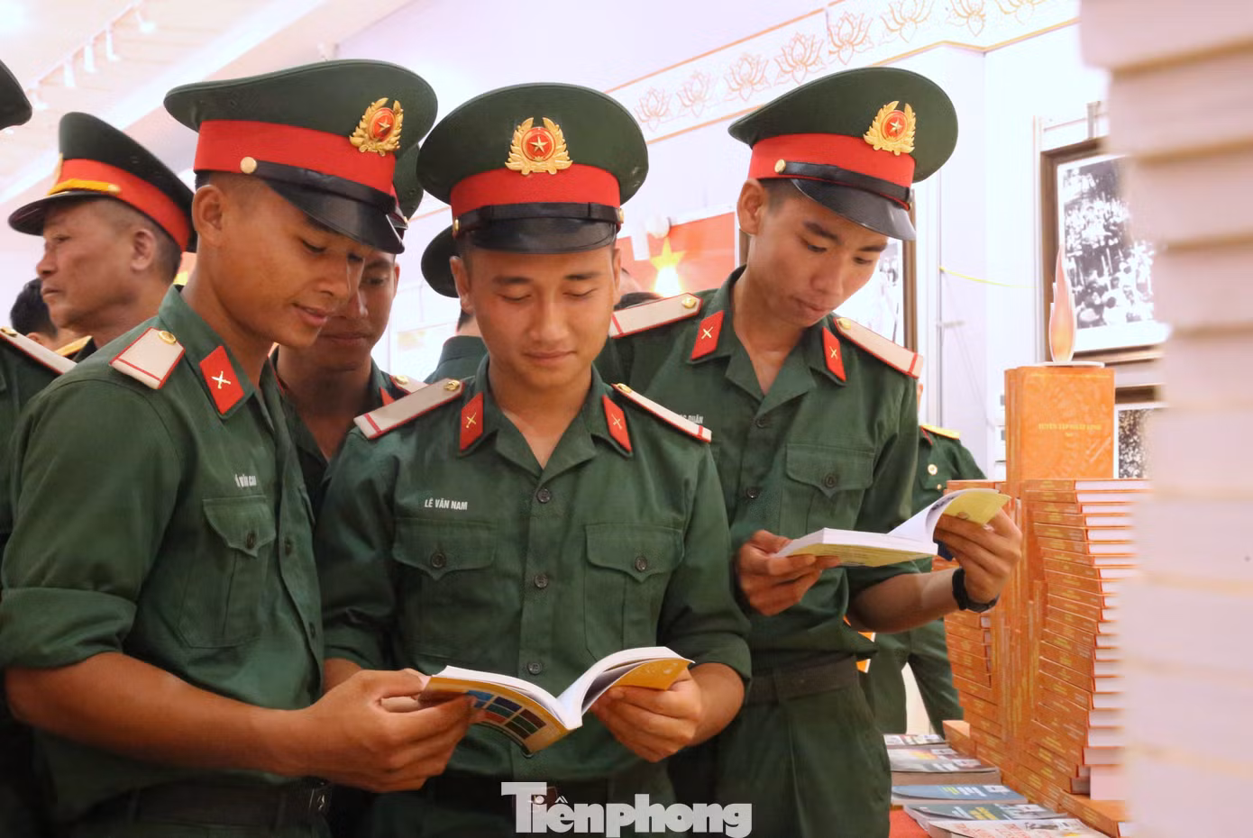 tp-11-8596.jpg