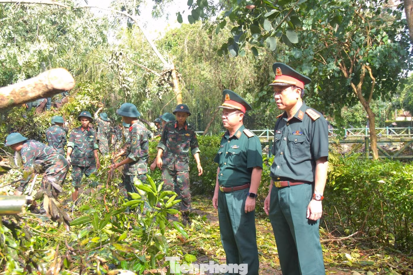 tp-19.jpg