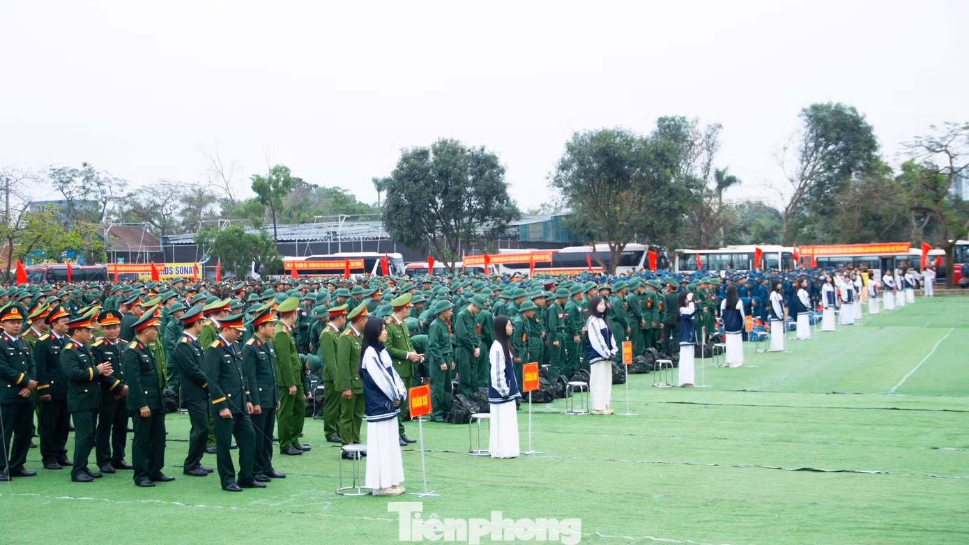 tp-20.jpg