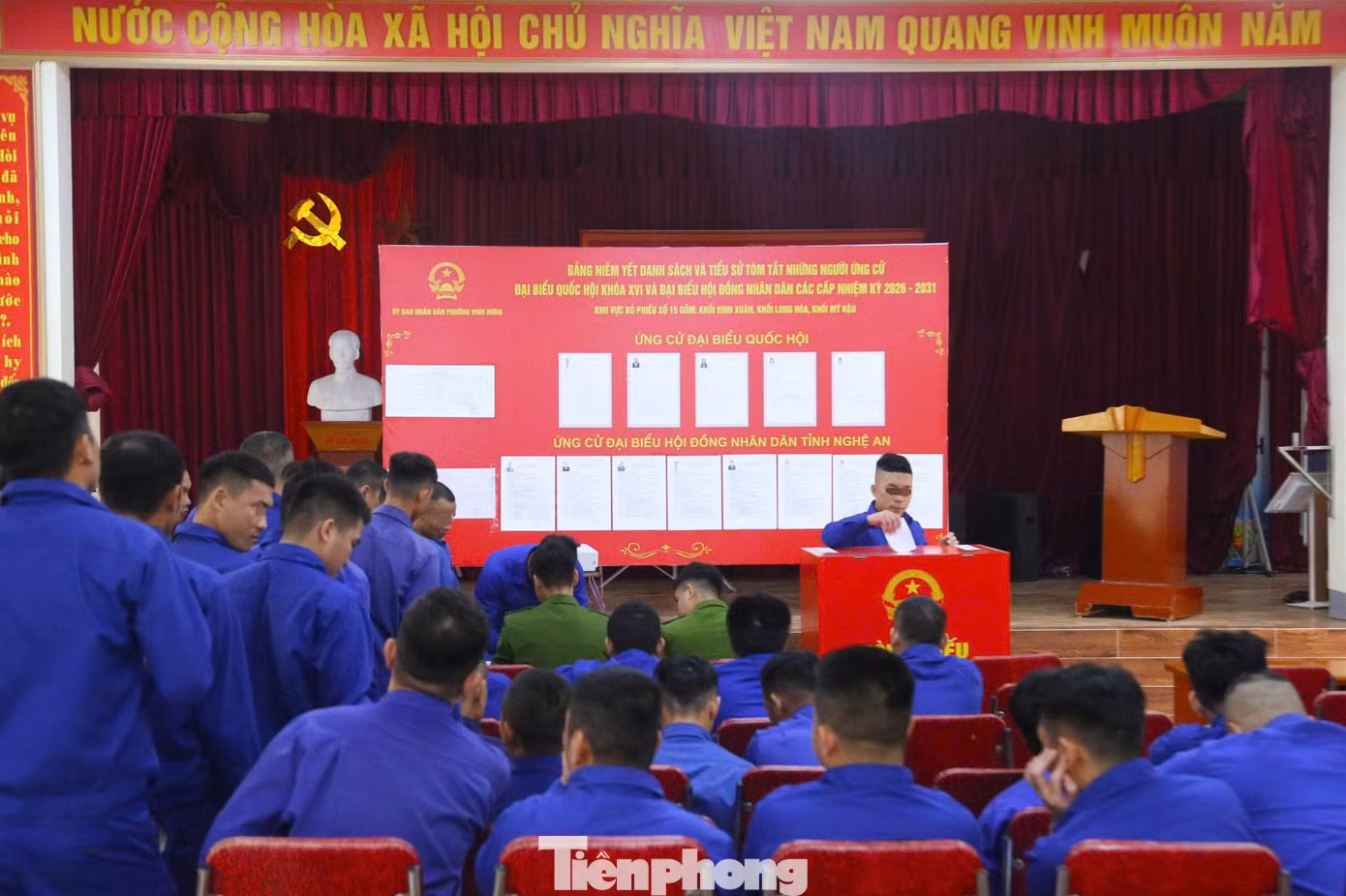 tp-8.jpg