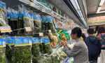 TPHCM đang tăng cường nhiều giải pháp kiểm tra, kiểm soát chất lượng thực phẩm trên địa bàn