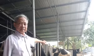 Nông dân điển hình vượt khó làm giàu