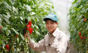 Bí quyết làm giàu của anh giám đốc HTX nông nghiệp 'tay ngang'