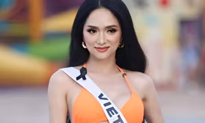 Phụ nữ đã kết hôn, người chuyển giới được thi Miss Universe Vietnam