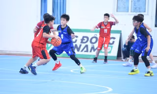 Vinh danh các nhà vô địch Giải Bóng rổ học sinh Tiểu học Hà Nội
