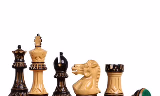 Cục TDTT nói gì về lùm xùm 'học phí' ở Liên đoàn Cờ vua Việt Nam?