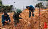 Xử lý sạt lở đường, phát hiện quả bom gần 300kg gần tường nhà