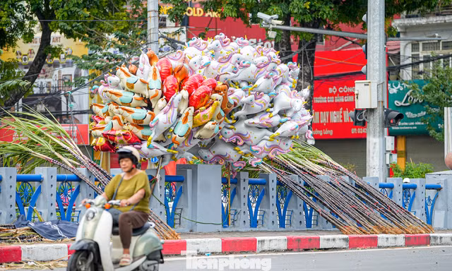 Mía lộc thắt nơ đỏ đổ bộ đường phố Hà Nội chờ Giao thừa