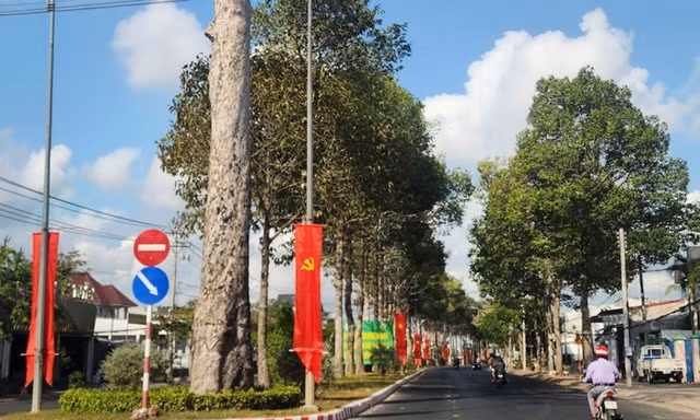 Ông chủ Cây xanh Công Minh bị đề nghị truy tố: Thông tin hơn 600 gói thầu