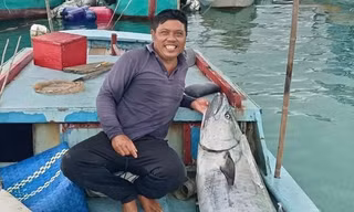 Ngư dân câu được 'quái vật' cá thu gần 60 kg