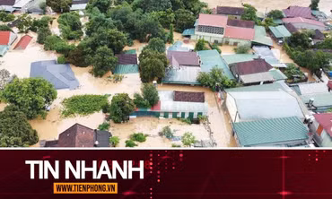 TIN NHANH: Cảnh báo sau bão số 3; Con trai giấu thi thể mẹ suốt 10 năm 