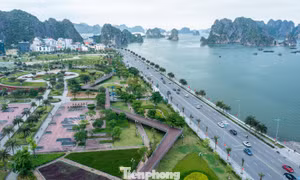 Ngắm lá phổi xanh mướt bên bờ di sản vịnh Hạ Long