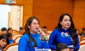 Đưa tổ chức Đoàn trở thành cái nôi rèn luyện nguồn lực cho Đảng